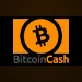 Bitcoin Cash — способ оплаты